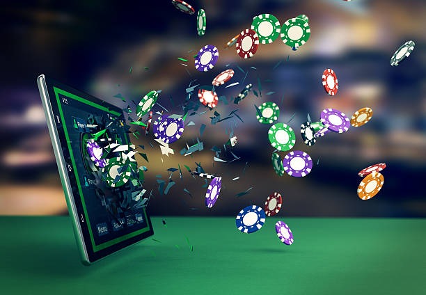 wild4d login editorial visual
